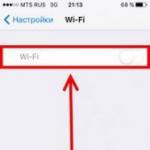 The Wi-Fi button is gray and inactive - what happened to the iPhone?