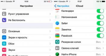 Kako prekinuti vezu između Apple ID-a i iPhone-a: kompletna uputstva