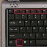 Fn and function keys F1÷F12 do not work on a laptop