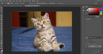 How to cut out a background in Photoshop: an easy and fast way