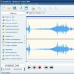 Audiomaster i ryska full version